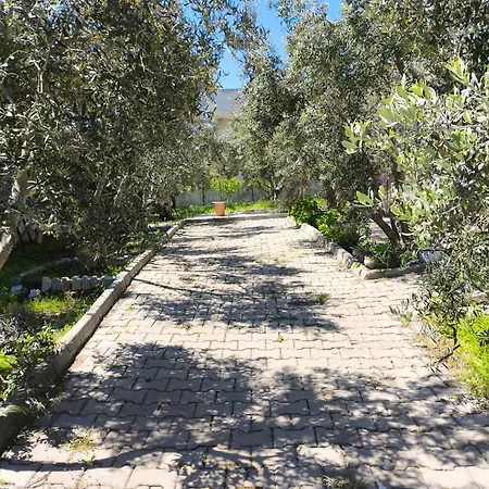 Soem Elaia Vila Soke